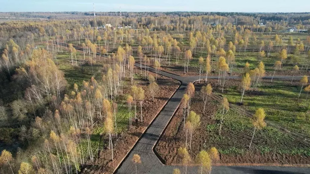 Участок в Московская область, Солнечногорск ул. Некрасова, 37 (9.0 ... - Фото 1