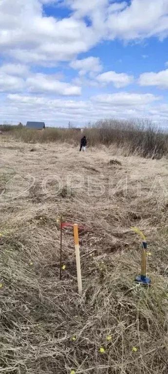 Участок в Тюменская область, Ялуторовский муниципальный округ, СО ... - Фото 1
