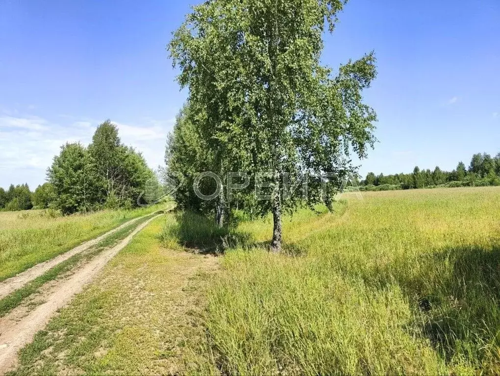Участок в Тюменская область, Нижнетавдинский район, с. Тюнево ул. ... - Фото 0