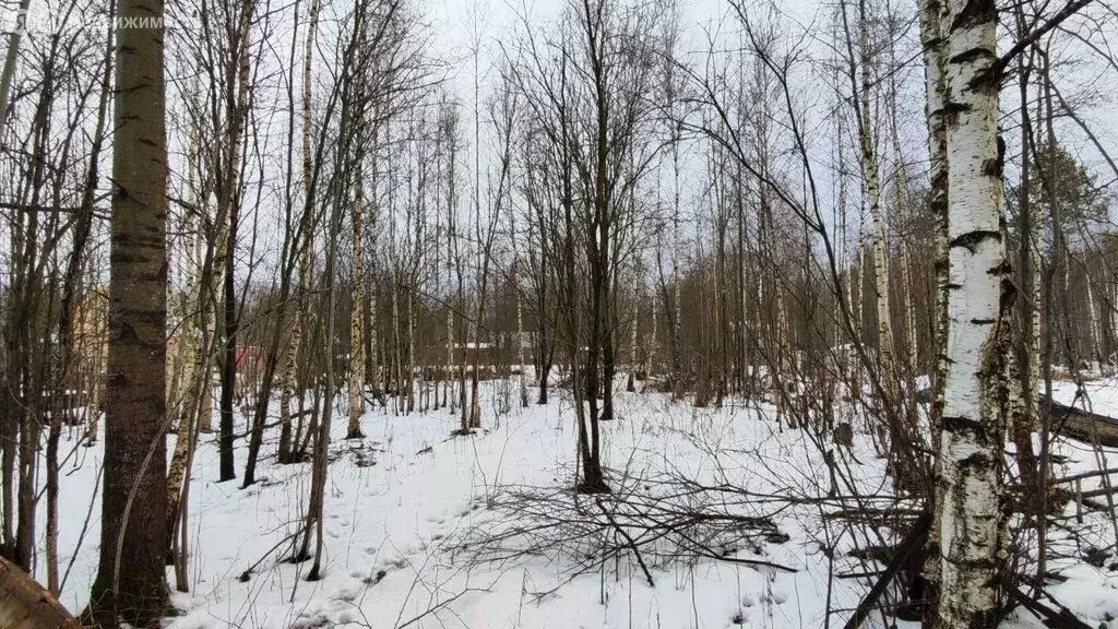 Участок в Тоншаловское сельское поселение, садоводческое товарищество ... - Фото 1