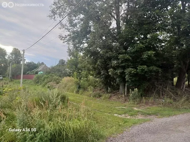 Дом в Московская область, муниципальный округ Чехов, деревня Алфёрово ... - Фото 2