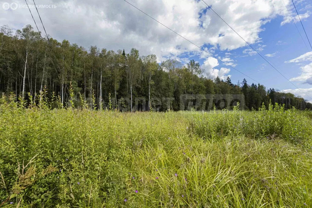 Участок в Наро-Фоминский городской округ, садовое товарищество ... - Фото 0