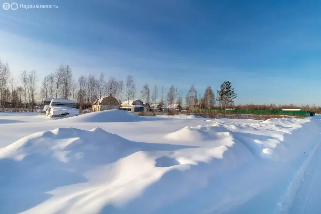 Участок в Тюмень, территория СОСН Берёзка-3, 18-я улица (7.97 м) - Фото 2
