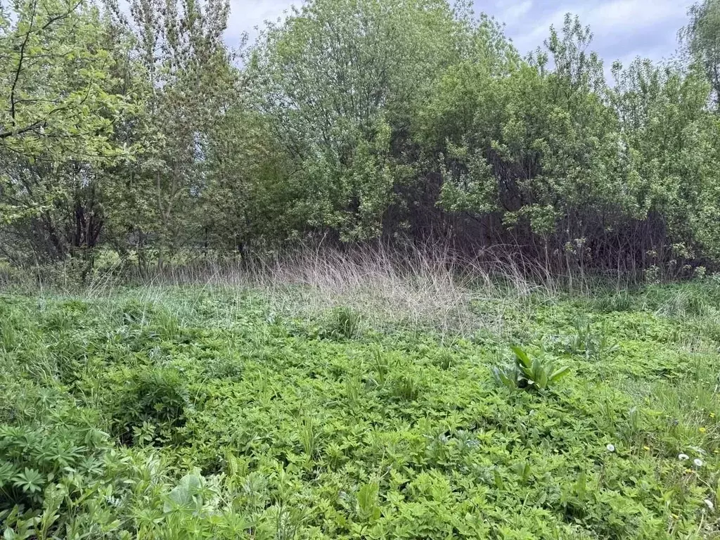 Участок в Московская область, Домодедово городской округ, д. Овчинки ... - Фото 2