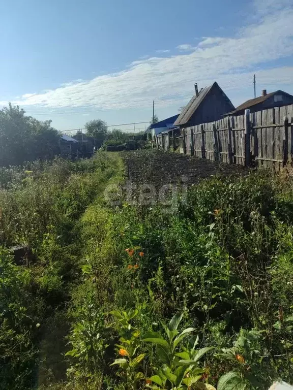 Участок в Челябинская область, Озерский городской округ, пос. Метлино ... - Фото 1