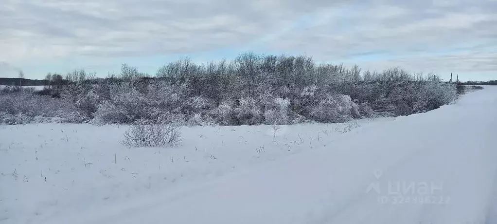 Участок в Новосибирская область, Мошковский район, с. Томилово  (99.91 ... - Фото 1
