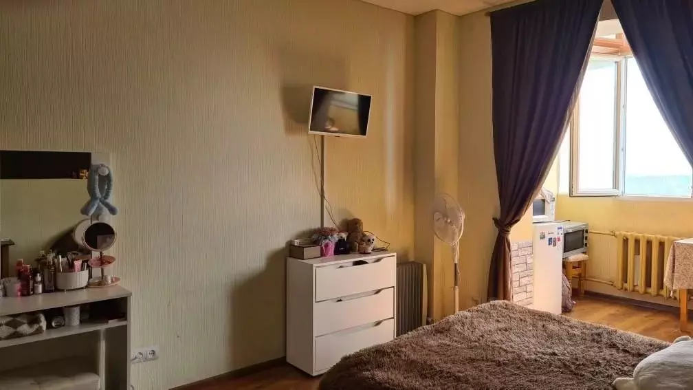 Студия Псковская область, Псковский район, Завеличенская волость, д. ... - Фото 2