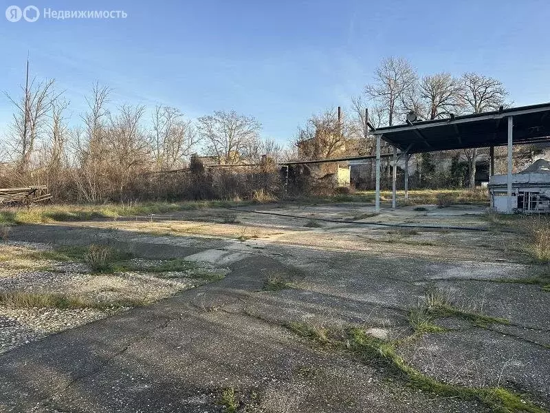 Склад (1629 м) - Фото 1