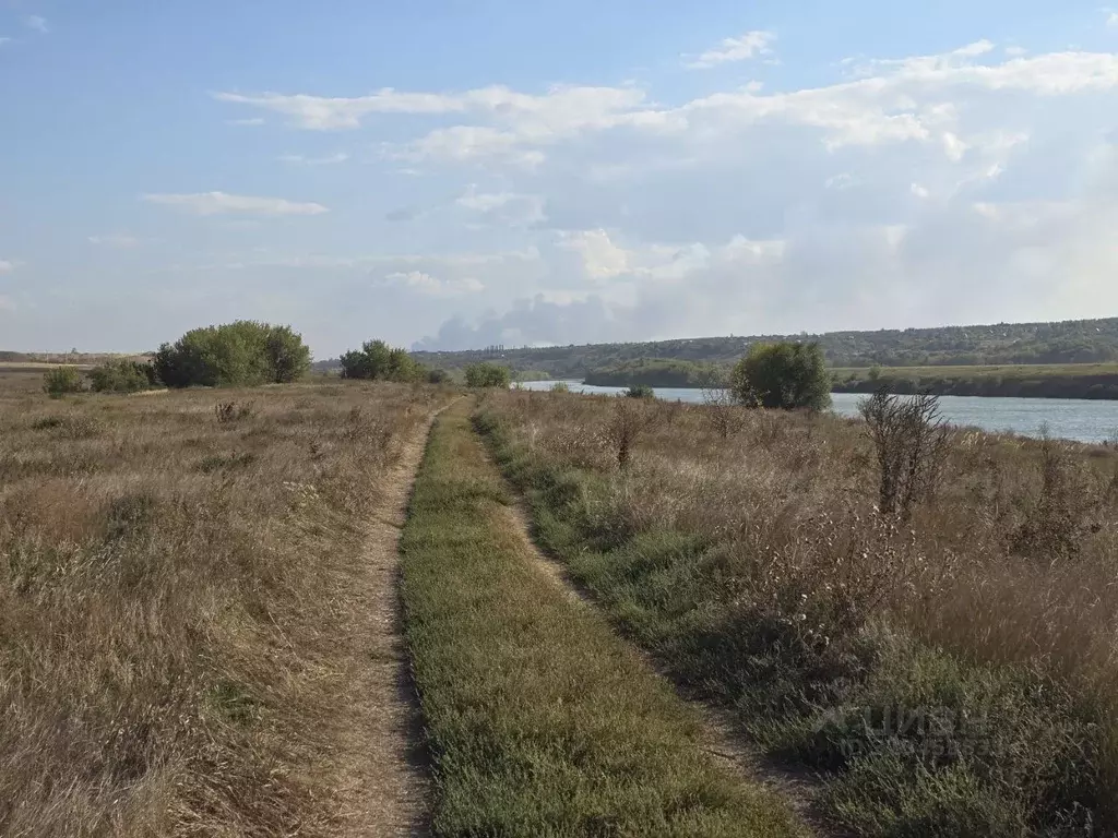 Участок в Воронежская область, Рамонский район, Горожанское с/пос  ... - Фото 1