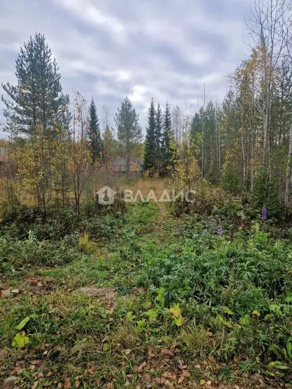 Участок в Коми, Сыктывдинский район, Выльгорт муниципальное ... - Фото 2