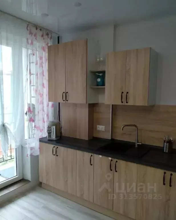 1-к кв. Калининградская область, Светлогорск Тихая ул., 12 (25.0 м) - Фото 0