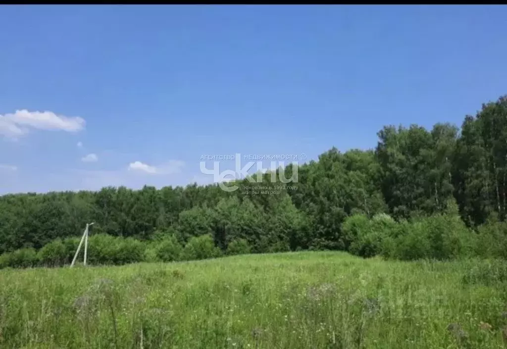 участок в нижегородская область, богородский район, д. оринкино ул. . - Фото 1