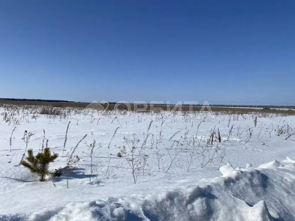 Участок в Тюменская область, Тюменский район, д. Елань 14 (8.0 сот.) - Фото 0