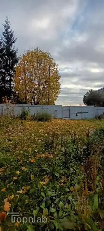 Участок в Владимирская область, Суздальский район, Новоалександровское ... - Фото 0