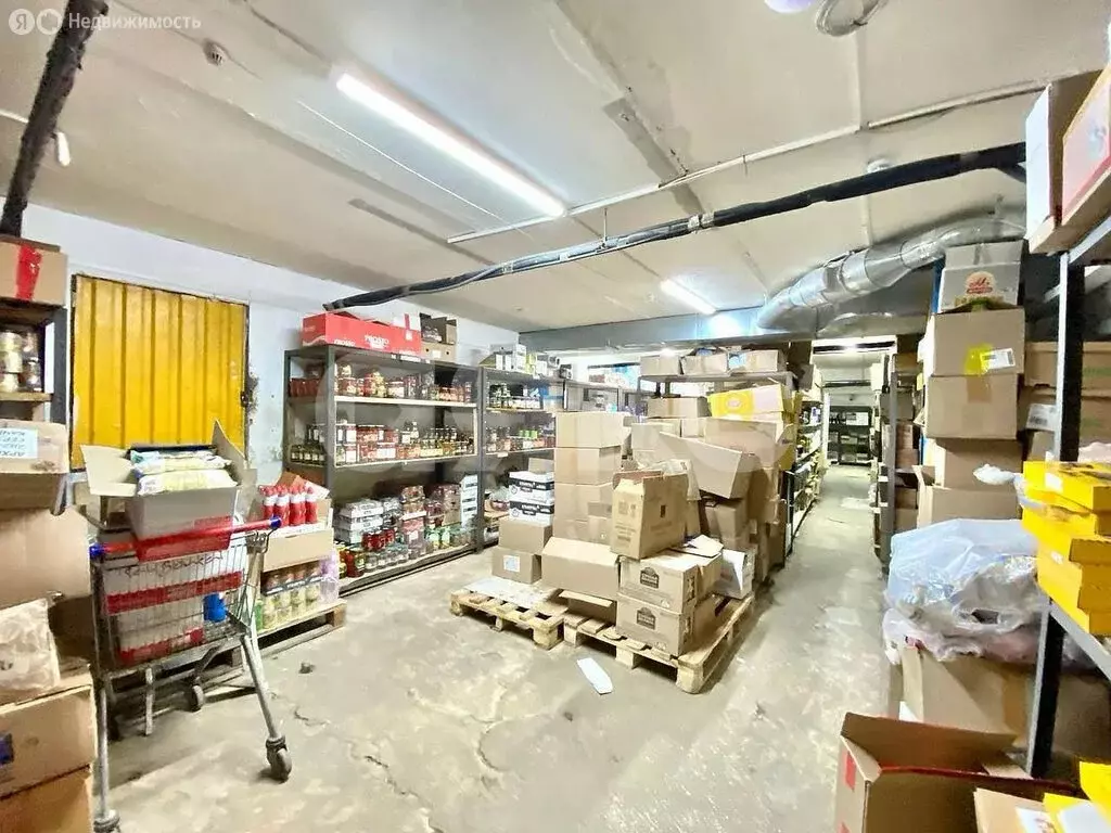 Торговая площадь (813 м) - Фото 2