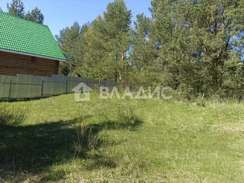 Участок в Нижегородская область, Бор городской округ, д. Рябинки  ... - Фото 1