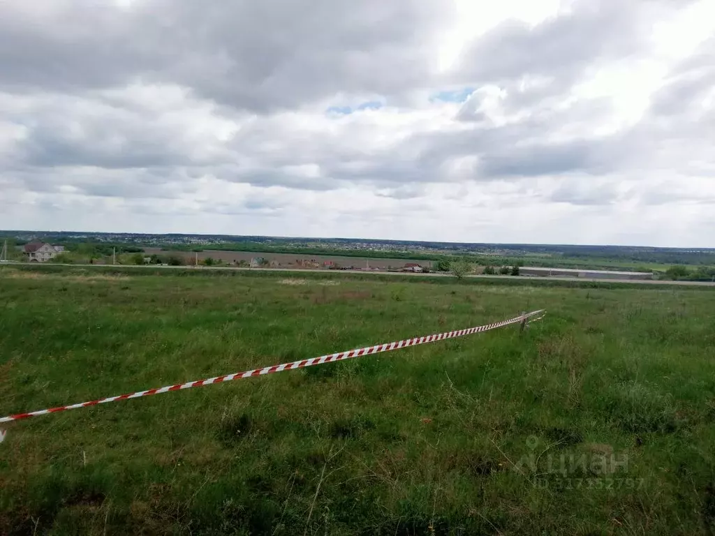 Участок в Воронежская область, Рамонский район, Новоживотинновское ... - Фото 1