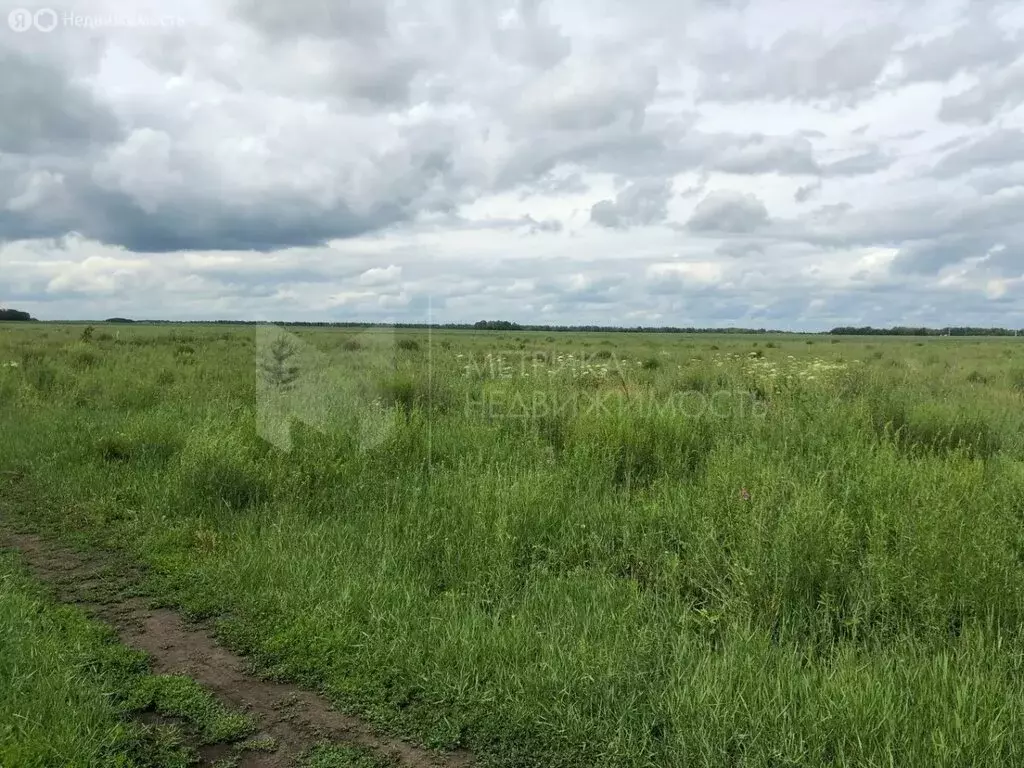 Участок в село Кулаково, Ирбитский тракт, 19-й километр (8 м) - Фото 0