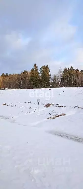 Участок в Пермский край, Добрянский городской округ, д. Залесная  (7.4 ... - Фото 1