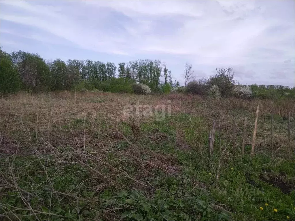 Участок в Мордовия, Саранск городской округ, пос. Пушкино  (10.0 сот.) - Фото 0