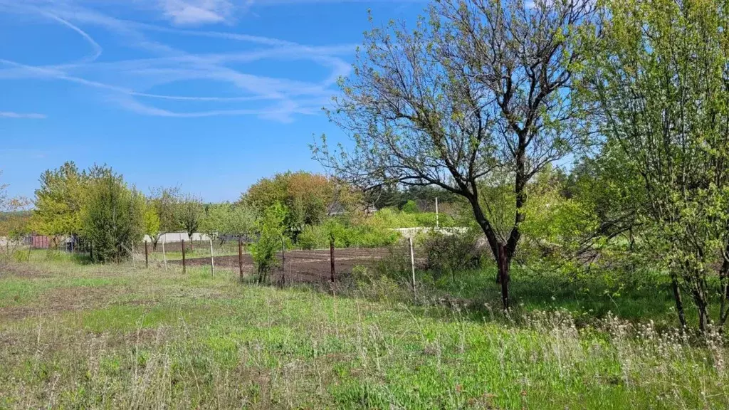 Участок в Белгородская область, Яковлевский муниципальный округ, ... - Фото 1
