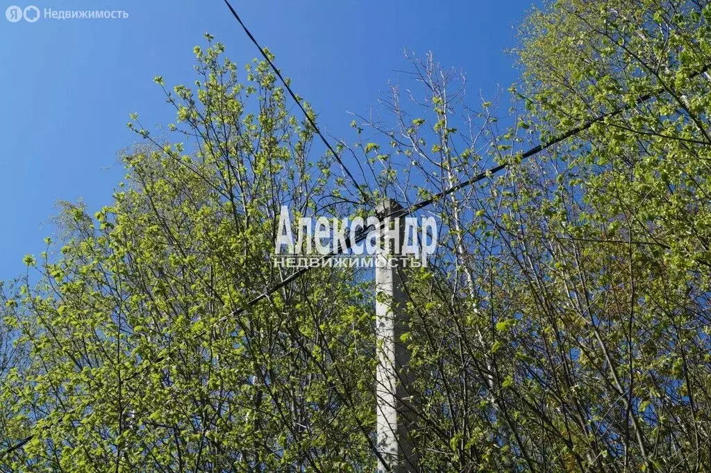 Участок в Лисинское сельское поселение, товарищество собственников ... - Фото 0