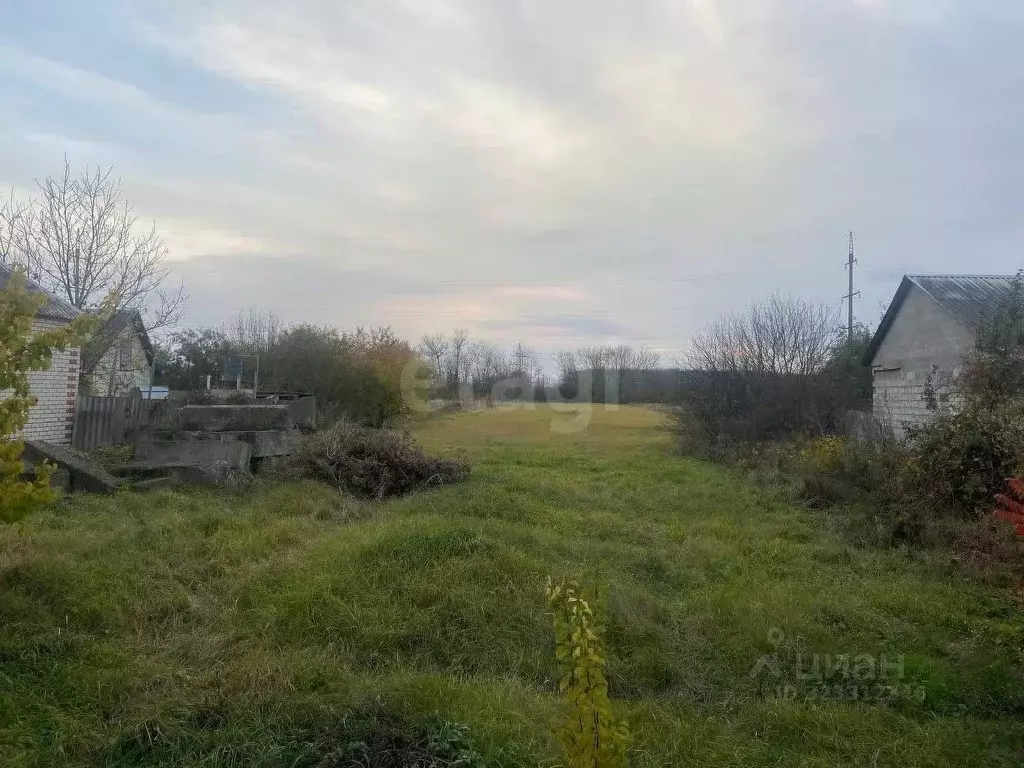 Участок в Белгородская область, Ивня рп, Исторический район совхоз  ... - Фото 1