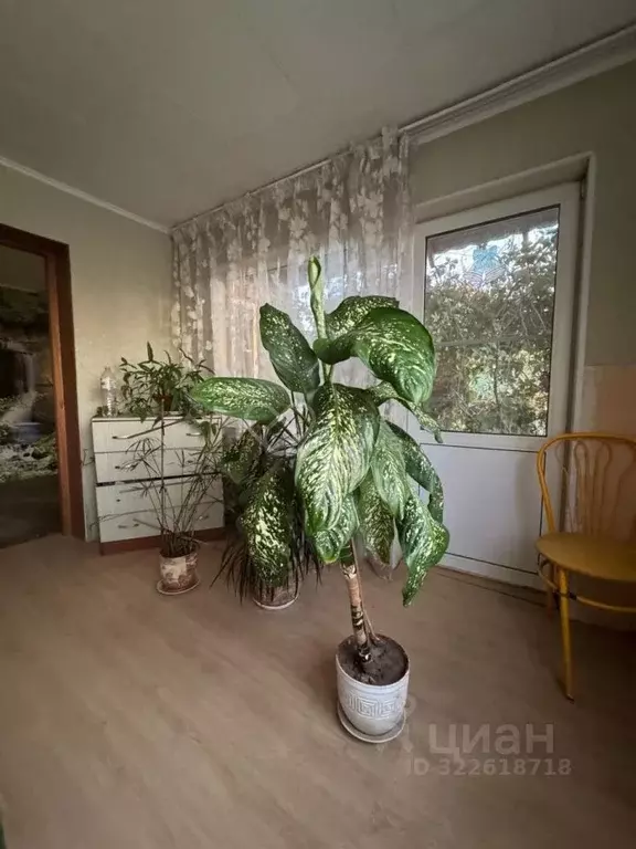 Дом в Волгоградская область, Волгоград Садовая ул. (89 м) - Фото 2