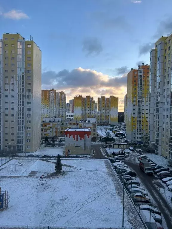 2-к кв. Московская область, Солнечногорск городской округ, Голубое пгт ... - Фото 2