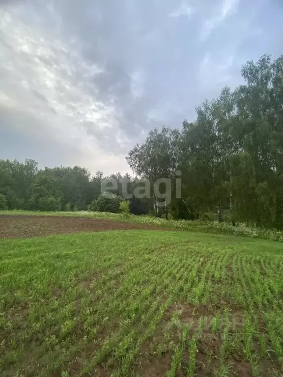 Участок в Московская область, Чехов городской округ, д. Углешня  (7.9 ... - Фото 1