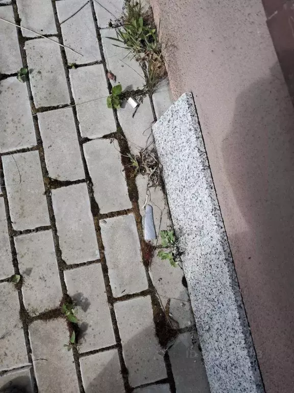 Дом в Московская область, Ступино городской округ, Вега-2 СНТ 194 (100 ... - Фото 1