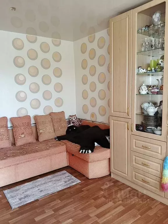 Студия Московская область, Пушкино Дзержинец мкр, 30 (25.0 м) - Фото 1