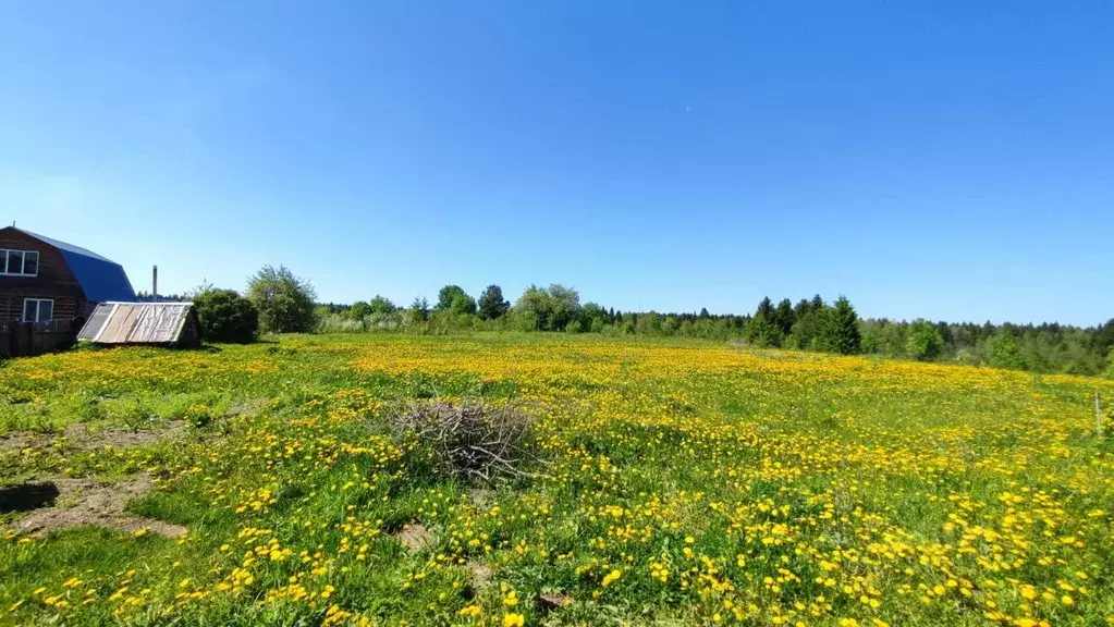 Участок в Пермский край, Краснокамский муниципальный округ, д. ... - Фото 1