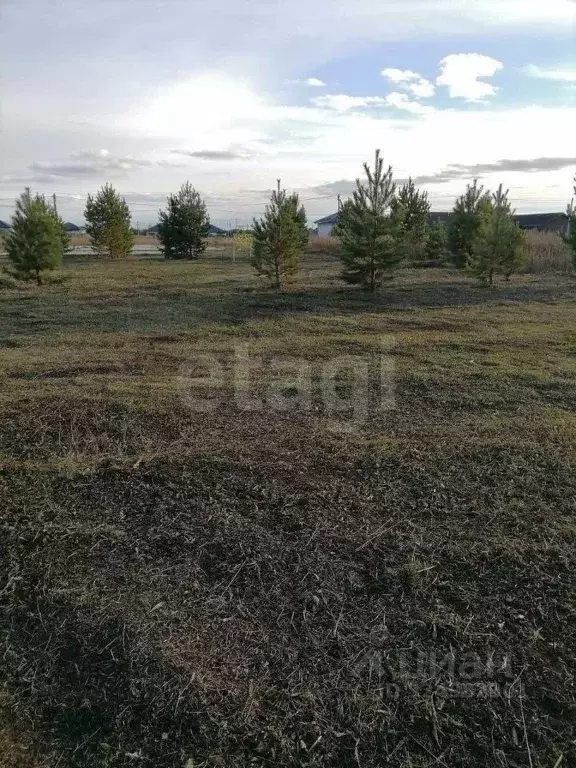 Участок в Тюменская область, Тюменский муниципальный округ, д. Елань, ... - Фото 1