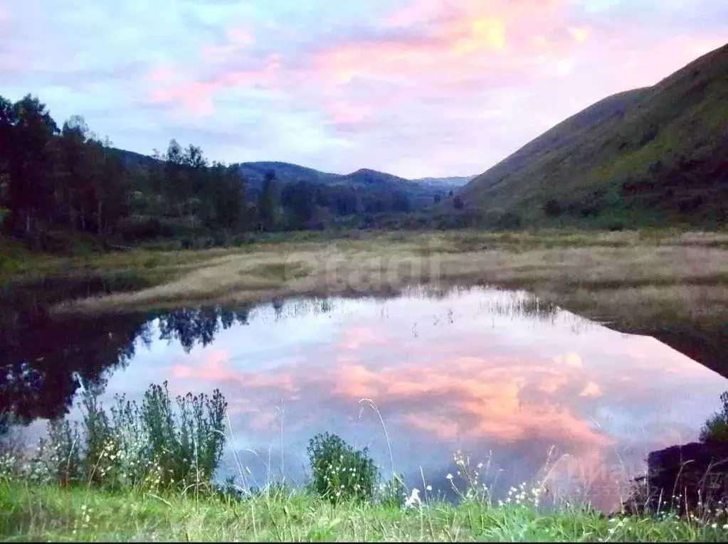 Участок в Алтайский край, Алтайский район, Айский сельсовет, с. Ая  ... - Фото 2