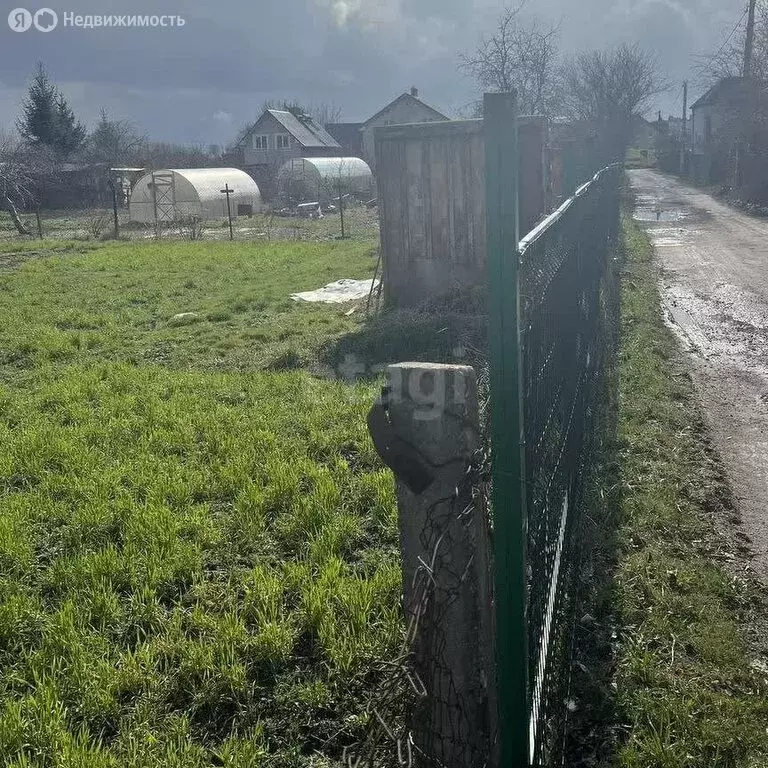 Участок в Калининград, СТ Василёк, Полевая улица (6.1 м) - Фото 2