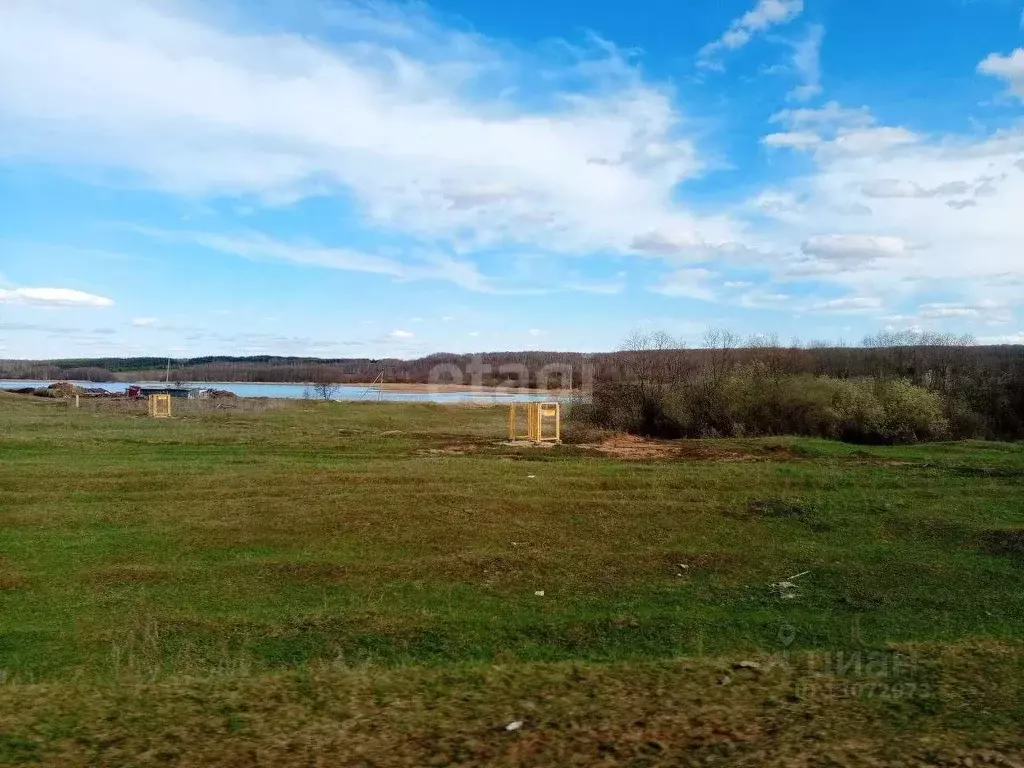 Участок в Нижегородская область, Богородский район, д. Касаниха  ... - Фото 1