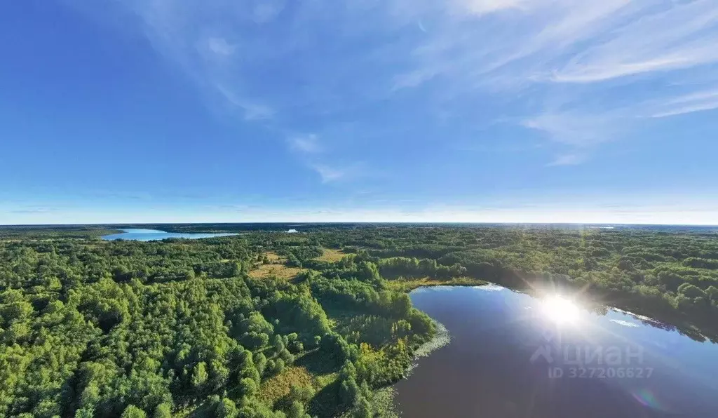 Участок в Тверская область, Вышний Волочек  (95.4 сот.) - Фото 1