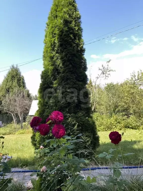 Участок в Московская область, Истра городской округ, Парус садовое ... - Фото 0