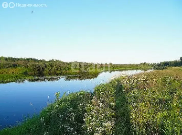 Участок в Тюменский район, село Борки (9.21 м) - Фото 1