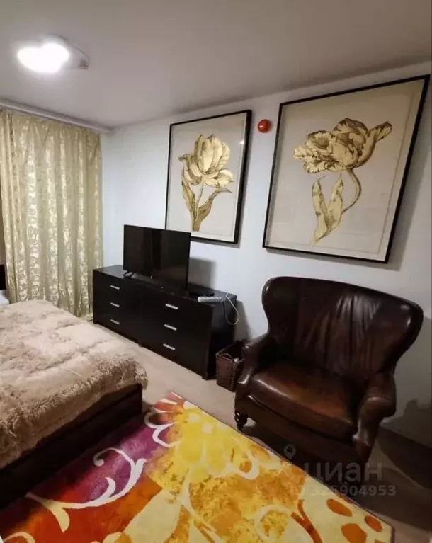 Студия Москва 1-й Грайвороновский проезд, 11к2 (20.0 м) - Фото 2