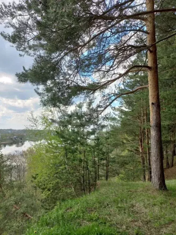 Дом в Ярославская область, Рыбинский муниципальный округ, пос. Шашково ... - Фото 2