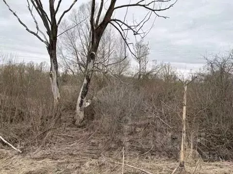 Участок в Московская область, Воскресенск городской округ, д. ... - Фото 1
