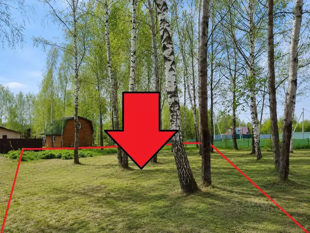 Участок в Московская область, Богородский городской округ, д. ... - Фото 1