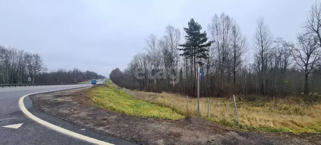 участок в смоленская область, ярцевский район, д. суетово (1003.6 . - Фото 1