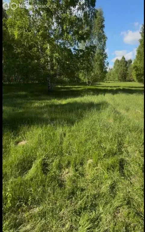 Участок в село Каменка, Заводская улица (15 м) - Фото 1
