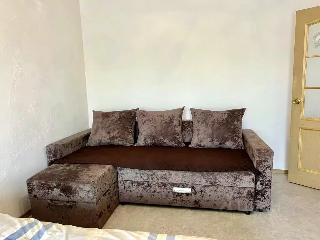 1-к кв. Еврейская автономная область, Биробиджан Пионерская ул., 74А ... - Фото 2