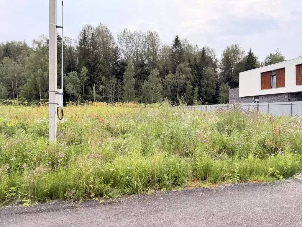 Участок в Московская область, Рузский муниципальный округ, д. ... - Фото 2