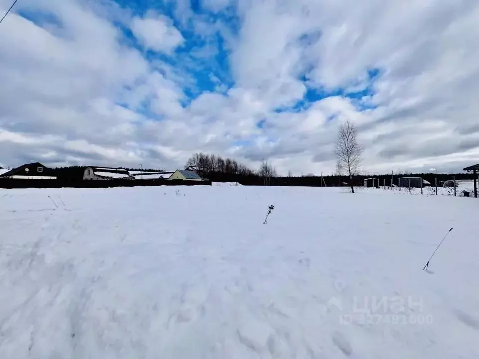 Участок в Московская область, Раменский муниципальный округ, 20285 ... - Фото 1