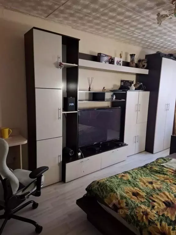 1-к кв. Омская область, Омск Городок Нефтяников мкр, ул. Энтузиастов, ... - Фото 1